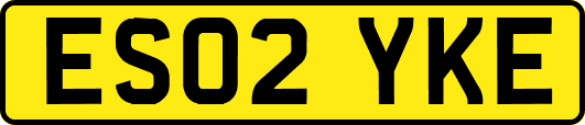 ES02YKE
