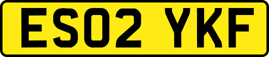 ES02YKF