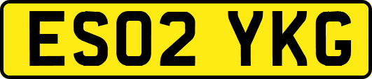 ES02YKG