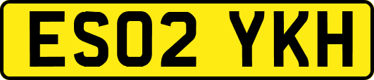 ES02YKH