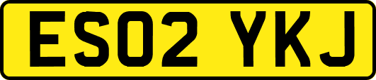 ES02YKJ