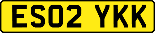 ES02YKK
