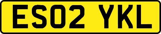 ES02YKL