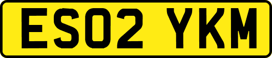 ES02YKM