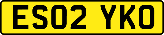 ES02YKO
