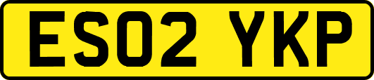 ES02YKP