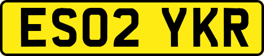 ES02YKR