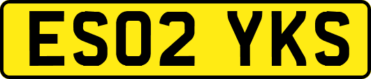 ES02YKS