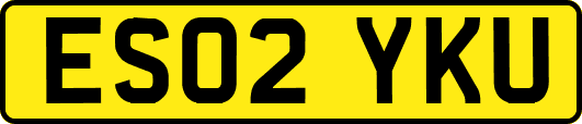 ES02YKU