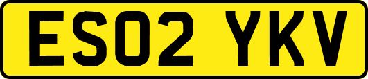 ES02YKV