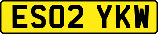 ES02YKW