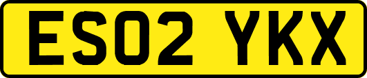 ES02YKX