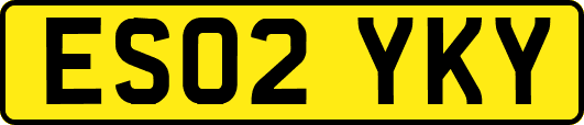 ES02YKY