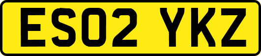 ES02YKZ