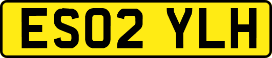 ES02YLH