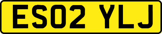 ES02YLJ