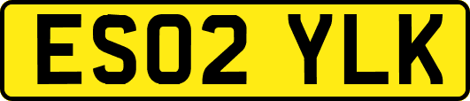 ES02YLK