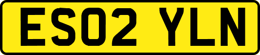ES02YLN