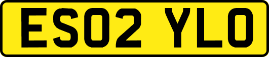ES02YLO