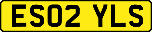ES02YLS