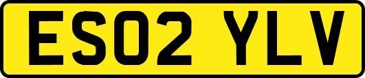 ES02YLV