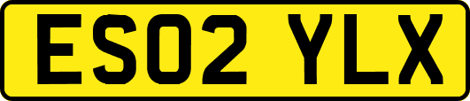 ES02YLX