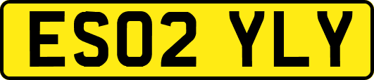 ES02YLY