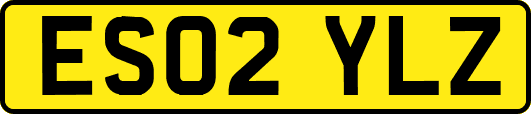 ES02YLZ