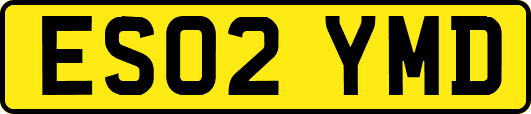 ES02YMD