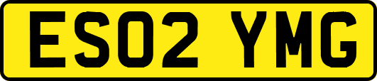 ES02YMG