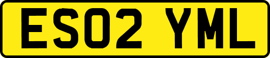 ES02YML