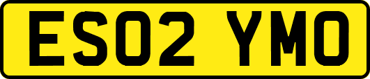 ES02YMO