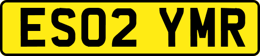 ES02YMR