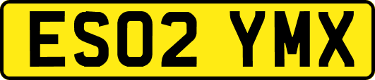 ES02YMX