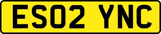 ES02YNC