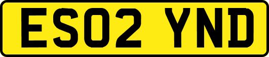 ES02YND