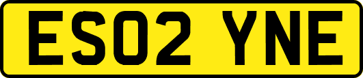 ES02YNE