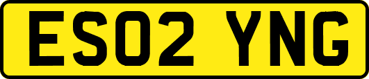 ES02YNG