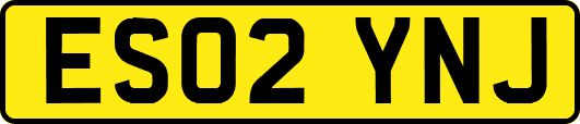 ES02YNJ