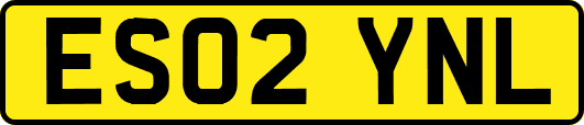 ES02YNL