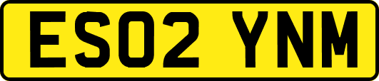 ES02YNM
