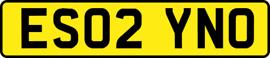 ES02YNO