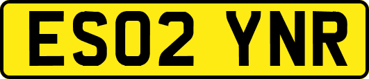 ES02YNR