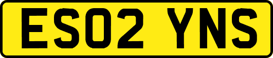 ES02YNS