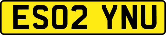 ES02YNU
