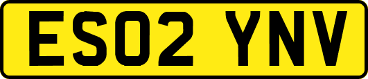 ES02YNV