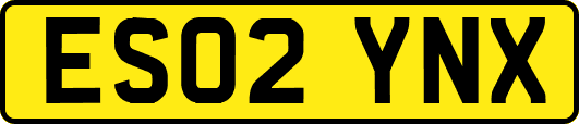 ES02YNX