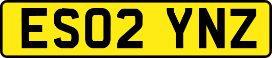 ES02YNZ