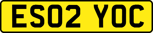 ES02YOC