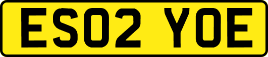 ES02YOE